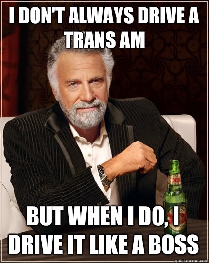 I don't always drive a trans am but when I do, I drive it like a boss  The Most Interesting Man In The World