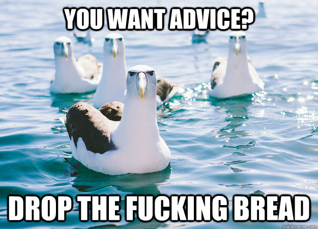 You want advice? Drop the fucking bread  Unimpresed Albatross