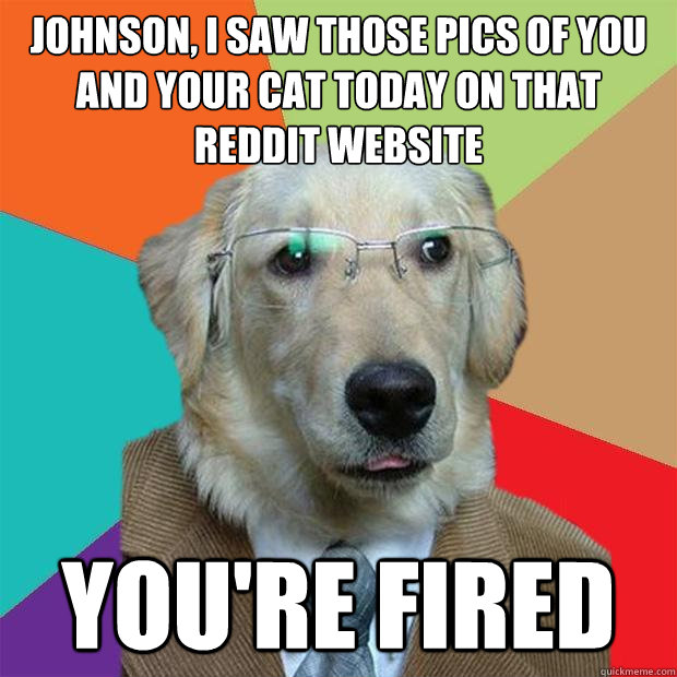 johnson, i saw those pics of you and your cat today on that reddit website you're fired  Business Dog
