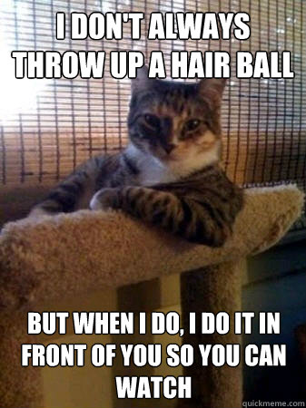 I don't always throw up a hair ball but when I do, I do it in front of you so you can watch  The Most Interesting Cat in the World