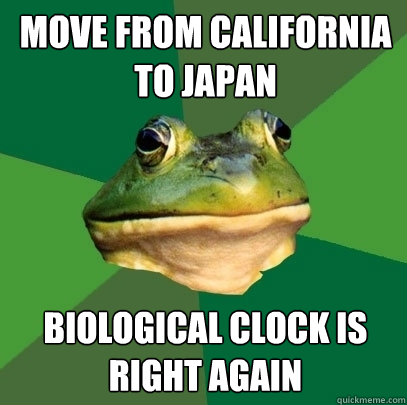 move from california to japan biological clock is right again  Foul Bachelor Frog