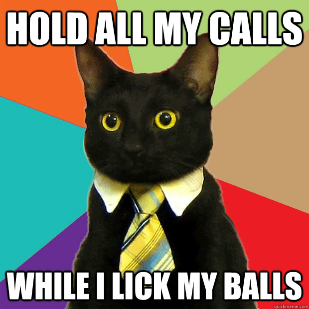Hold all my calls while I lick my balls  Business Cat