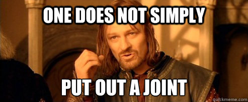 One does not simply put out a joint  One Does Not Simply
