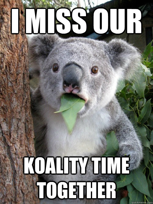 I miss our koality time together - I miss our koality time together  Koala