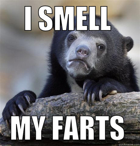 I SMELL MY FARTS Confession Bear