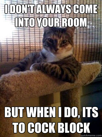 I don't always come into your room But when i do, its to cock block - I don't always come into your room But when i do, its to cock block  The Most Interesting Cat in the World