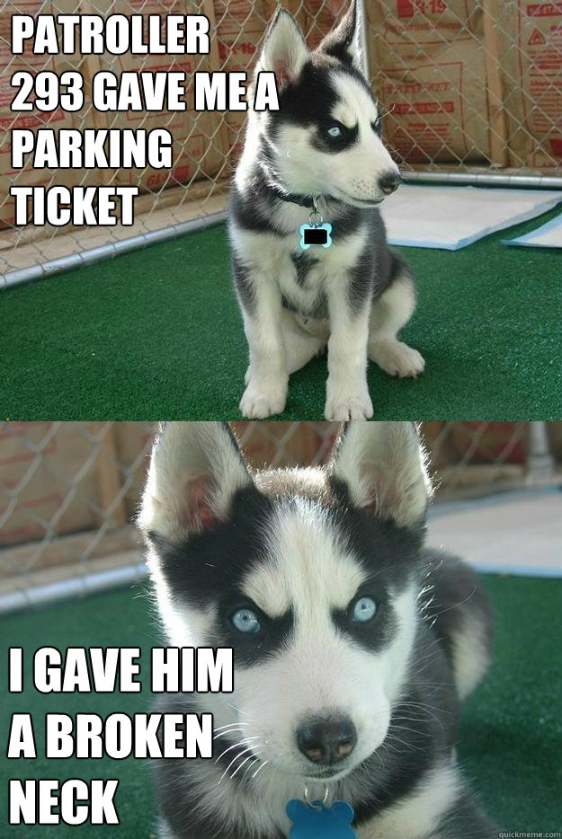 Patroller 293 gave me a parking ticket i gave him a broken neck  Insanity puppy