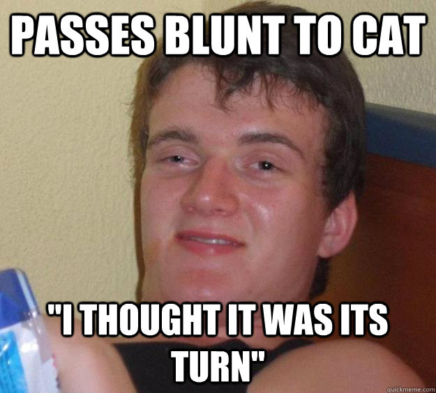 Passes blunt to cat 