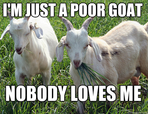 i'm just a poor goat nobody loves me  