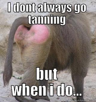 baboons ass - I DONT ALWAYS GO TANNING BUT WHEN I DO... Misc