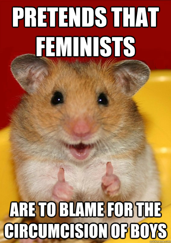 pretends that feminists are to blame for the circumcision of boys - pretends that feminists are to blame for the circumcision of boys  Rationalization Hamster