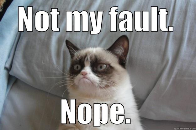 NOT MY FAULT. NOPE. Grumpy Cat