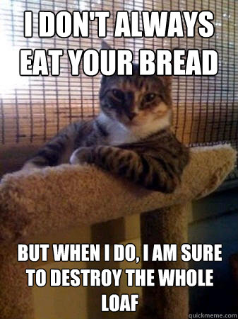 I don't always eat your bread but when I do, I am sure to destroy the whole loaf  The Most Interesting Cat in the World