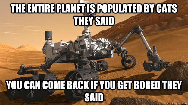 The entire planet is populated by cats they said You can come back if you get bored they said  Condescending Curiosity
