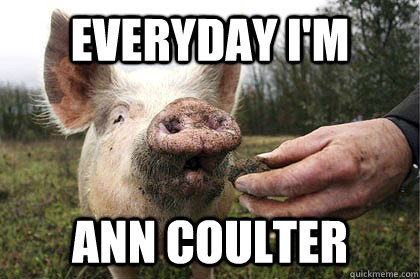 EVERYDAY I'M  ann Coulter  