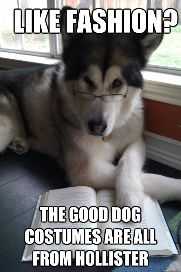 Like fashion? The Good Dog costumes are all from hollister  Condescending Literary Pun Dog
