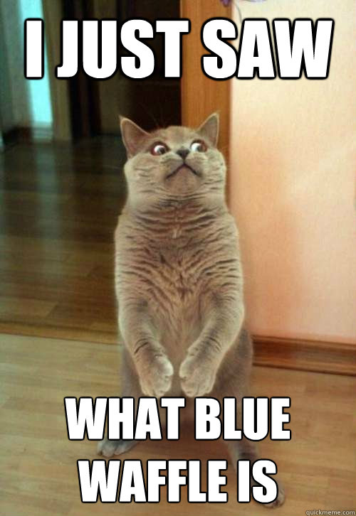 I just saw what blue waffle is - I just saw what blue waffle is  Horrorcat