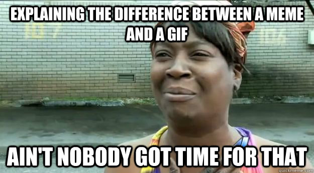 Explaining the difference between a Meme and a Gif Ain't nobody got time for that  Sweet Brown