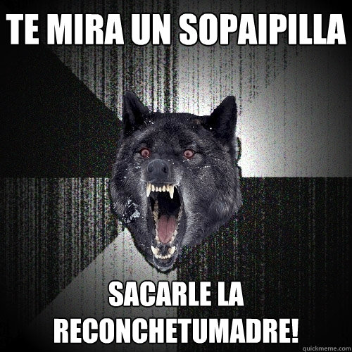 TE MIRA UN SOPAIPILLA SACARLE LA RECONCHETUMADRE!  Insanity Wolf