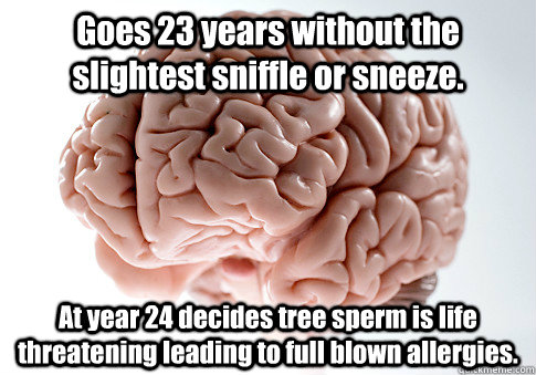 Goes 23 years without the slightest sniffle or sneeze. At year 24 decides tree sperm is life threatening leading to full blown allergies.   Scumbag Brain