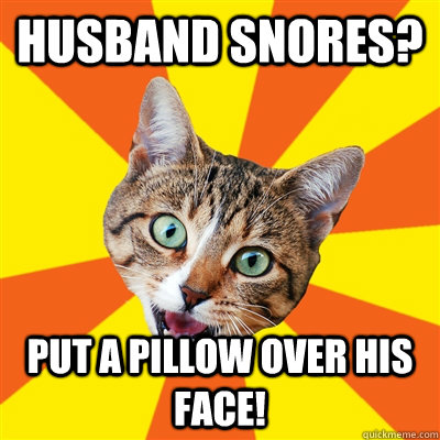 Husband snores? Put a pillow over his face!  Bad Advice Cat