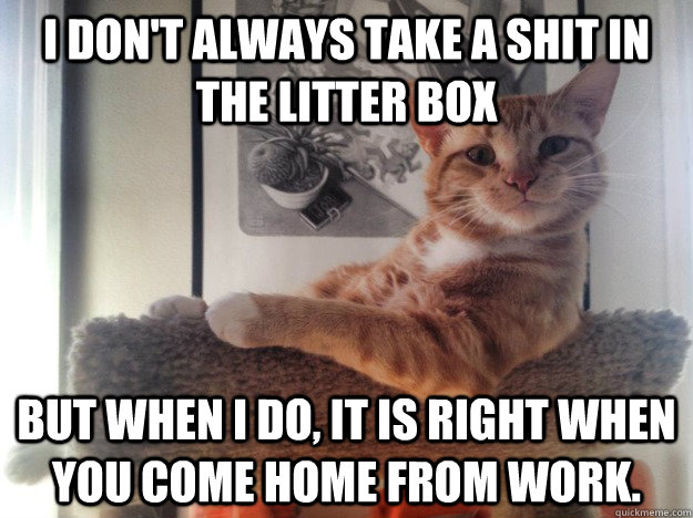 I don't always take a shit in the litter box but when i do, it is right when you come home from work. - I don't always take a shit in the litter box but when i do, it is right when you come home from work.  Misc