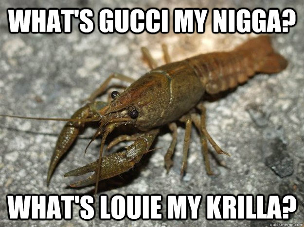 What's gucci my nigga? What's louie my krilla?  that fish cray
