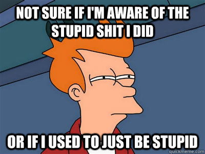 Not sure if I'm aware of the stupid shit I did or if I used to just be stupid  Fry meme