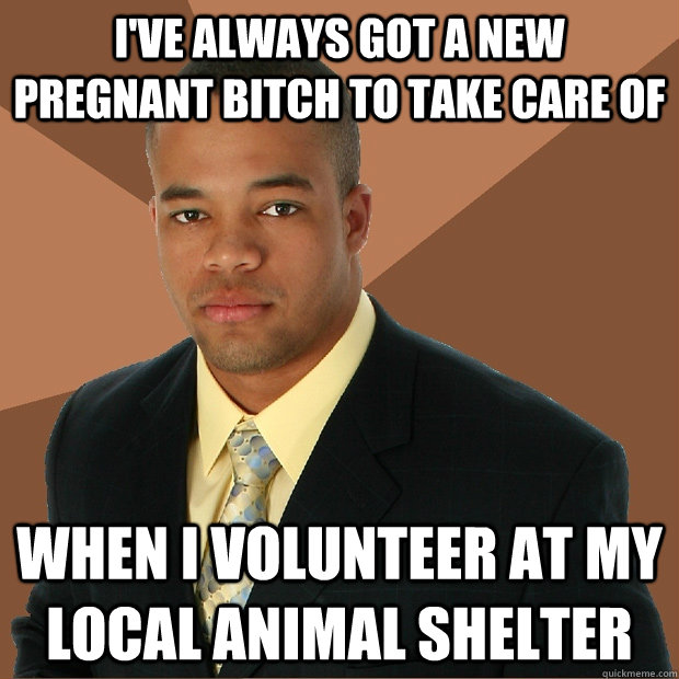 I've always got a new pregnant bitch to take care of when I volunteer at my local animal shelter  Successful Black Man