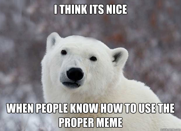 I think its nice when people know how to use the proper meme  Popular Opinion Polar Bear