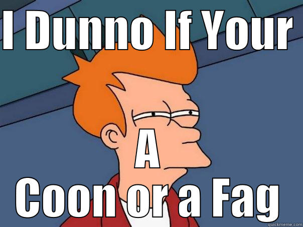 I DUNNO IF YOUR  A COON OR A FAG Futurama Fry