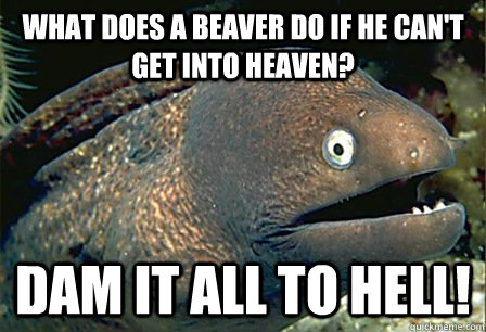 What does a beaver do if he can't get into heaven? Dam it all to hell! - What does a beaver do if he can't get into heaven? Dam it all to hell!  Misc
