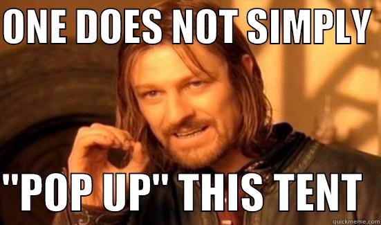 ONE DOES NOT SIMPLY   