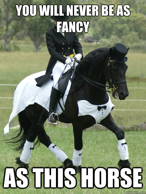 You will never be as fancy As this horse  