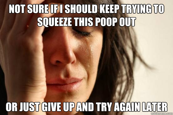 Not sure if I should keep trying to squeeze this poop out Or just give up and try again later  First World Problems