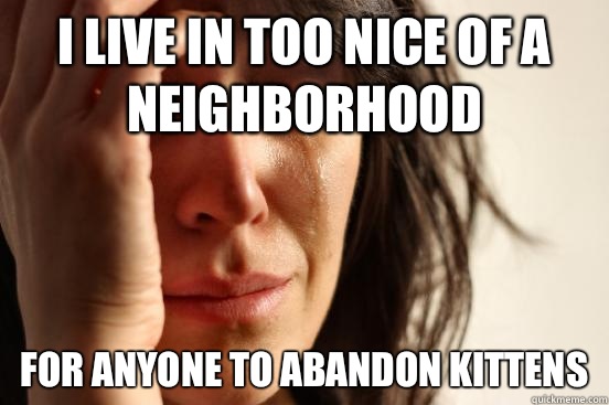 I live in too nice of a neighborhood For anyone to abandon kittens  First World Problems