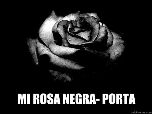 mi rosa negra- PORTA - mi rosa negra- PORTA  mi rosa negra