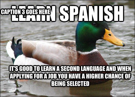 Learn Spanish It's good to learn a second language and when applying for a job you have a higher chance of being selected  Caption 3 goes here  Actual Advice Mallard