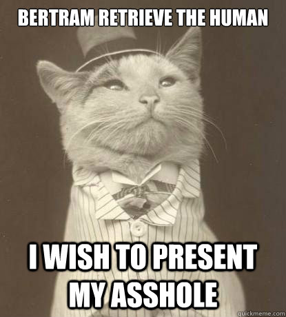 Bertram retrieve the human I wish to present my asshole - Bertram retrieve the human I wish to present my asshole  Aristocat