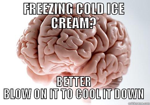 FREEZING COLD ICE CREAM? BETTER BLOW ON IT TO COOL IT DOWN Scumbag Brain