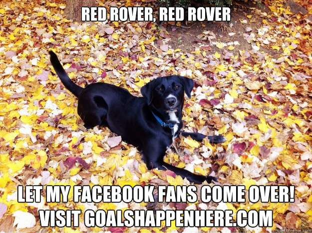 Red Rover, Red Rover Let my Facebook fans come over! Visit goalshappenhere.com
   Guilt Giving Good Dog