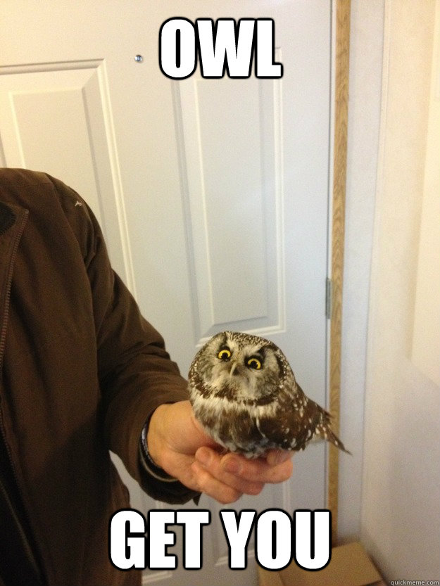 Owl get you - Owl get you  Vengeful Owl