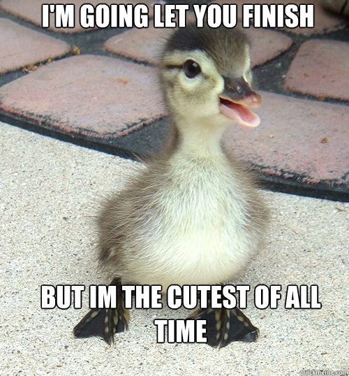 I'm Going let you finish But im the cutest of all time  ugly duckling