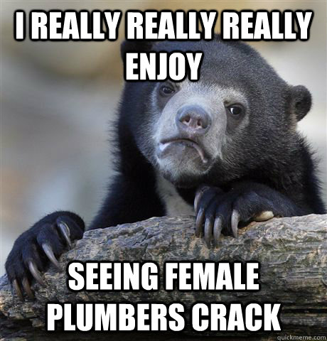 I really really really enjoy seeing female plumbers crack - I really really really enjoy seeing female plumbers crack  Confession Bear