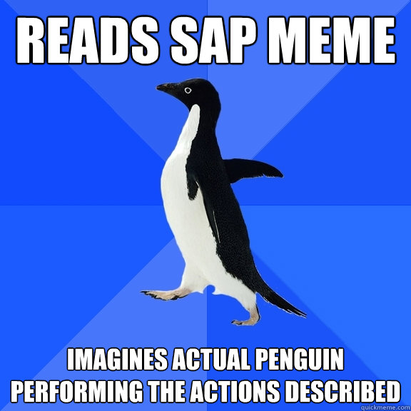 reads sap meme  imagines actual penguin performing the actions described  Socially Awkward Penguin