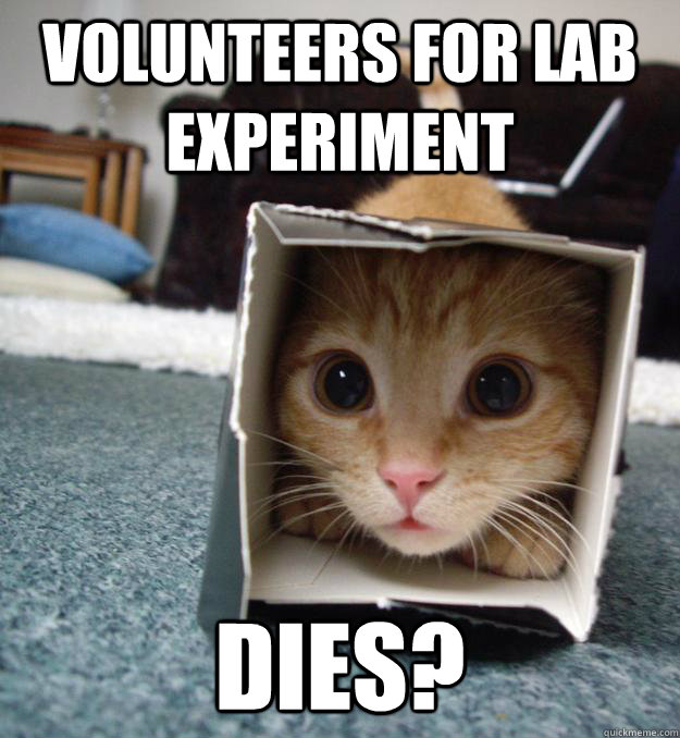 VOLUNTEERS for lab experiment  DIES?  