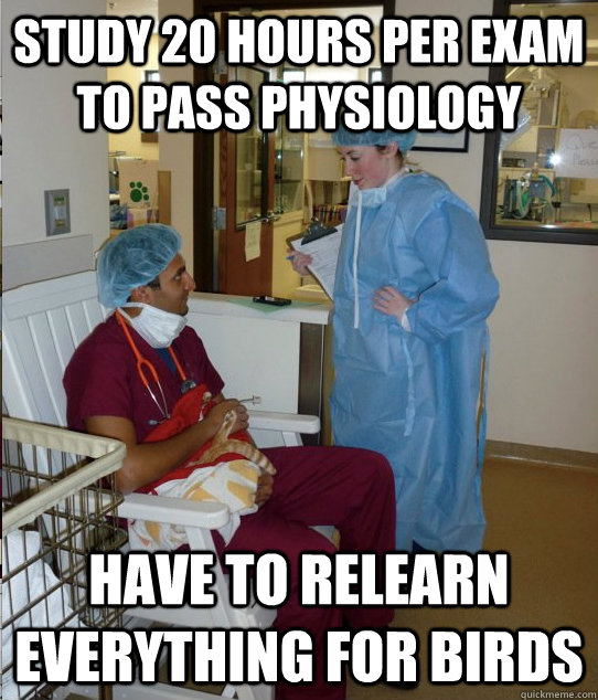 Study 20 hours per exam to pass physiology have to Relearn everything for birds  