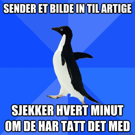 sender et bilde in til artige sjekker hvert minut om de har tatt det med  Socially Awkward Penguin