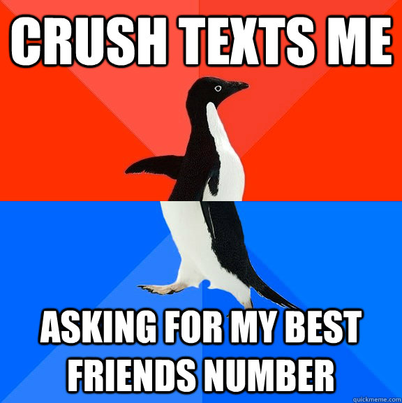 Crush texts me  Asking for my best friends number  Socially Awesome Awkward Penguin