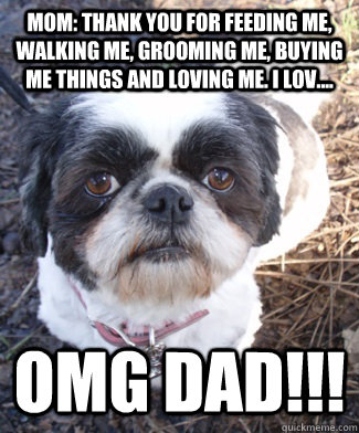 mom: thank you for feeding me, walking me, grooming me, buying me things and loving me. i lov.... OMG DAD!!!  Shameless Shih Tzu